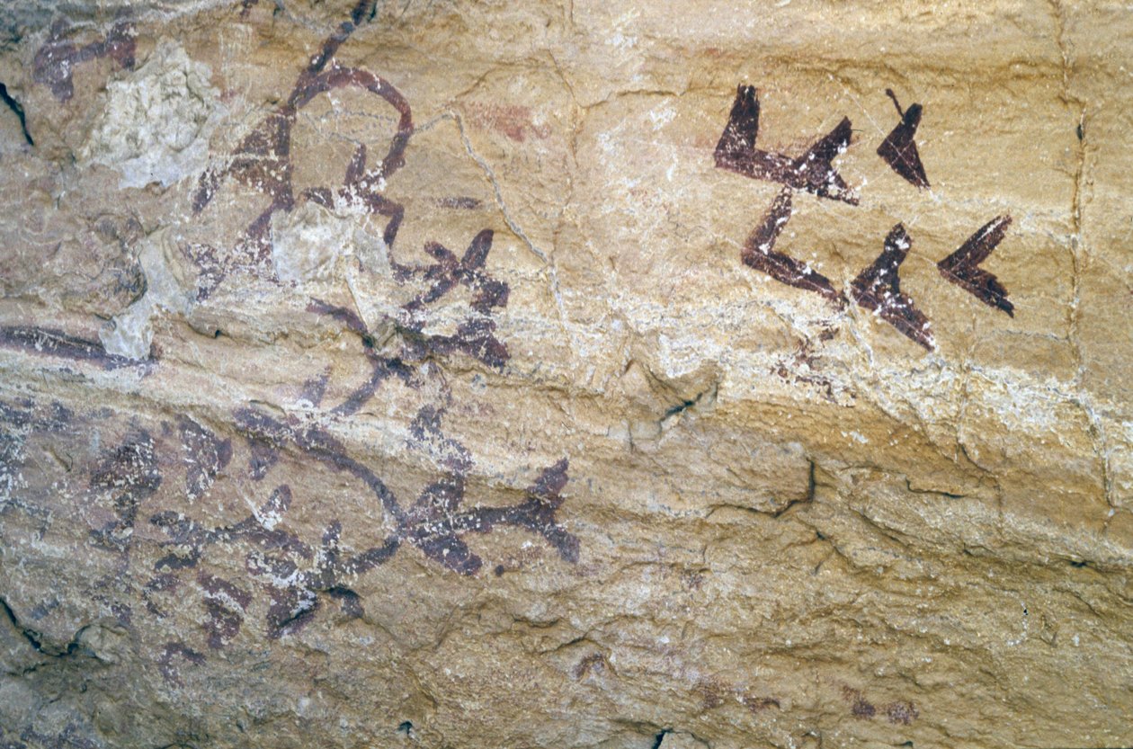 ロスレトレロス洞窟、ベレスブランコ近く、アンダルシア、紀元前4000年、鳥の洞窟壁画 作： 不明