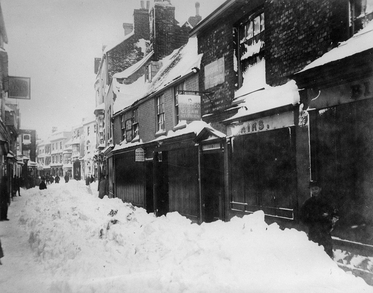 ウエストカウズ、1881年または1891年1月 作： 英語の写真家