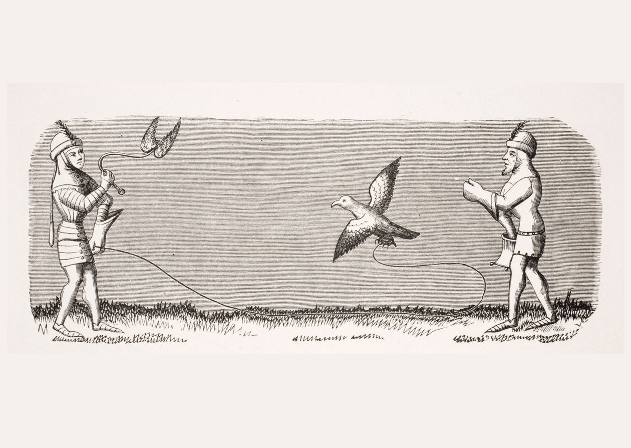 ポールラクロワ（1806-84）のパブによる「ルモヤンエイジエラルネッサンス」からの、アンリドフェリエールによる14世紀の原稿「リヴルドロイデュモデュス」のミニチュアの複製、新しいハヤブサの訓練方法 作： フランス語学校