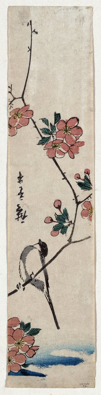 Kaido ni Shokin (Small Bird on a Branch of Kaidozakura) 作： 歌川広重
