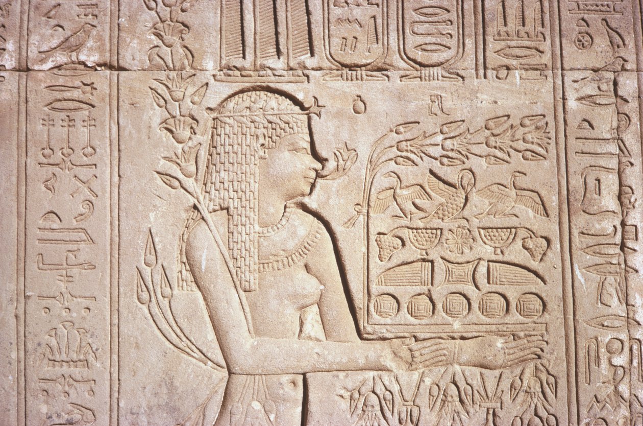 エジプト、デンダラ、ハトホル神殿の東壁にある複雑な壁の彫刻。 作： 不明