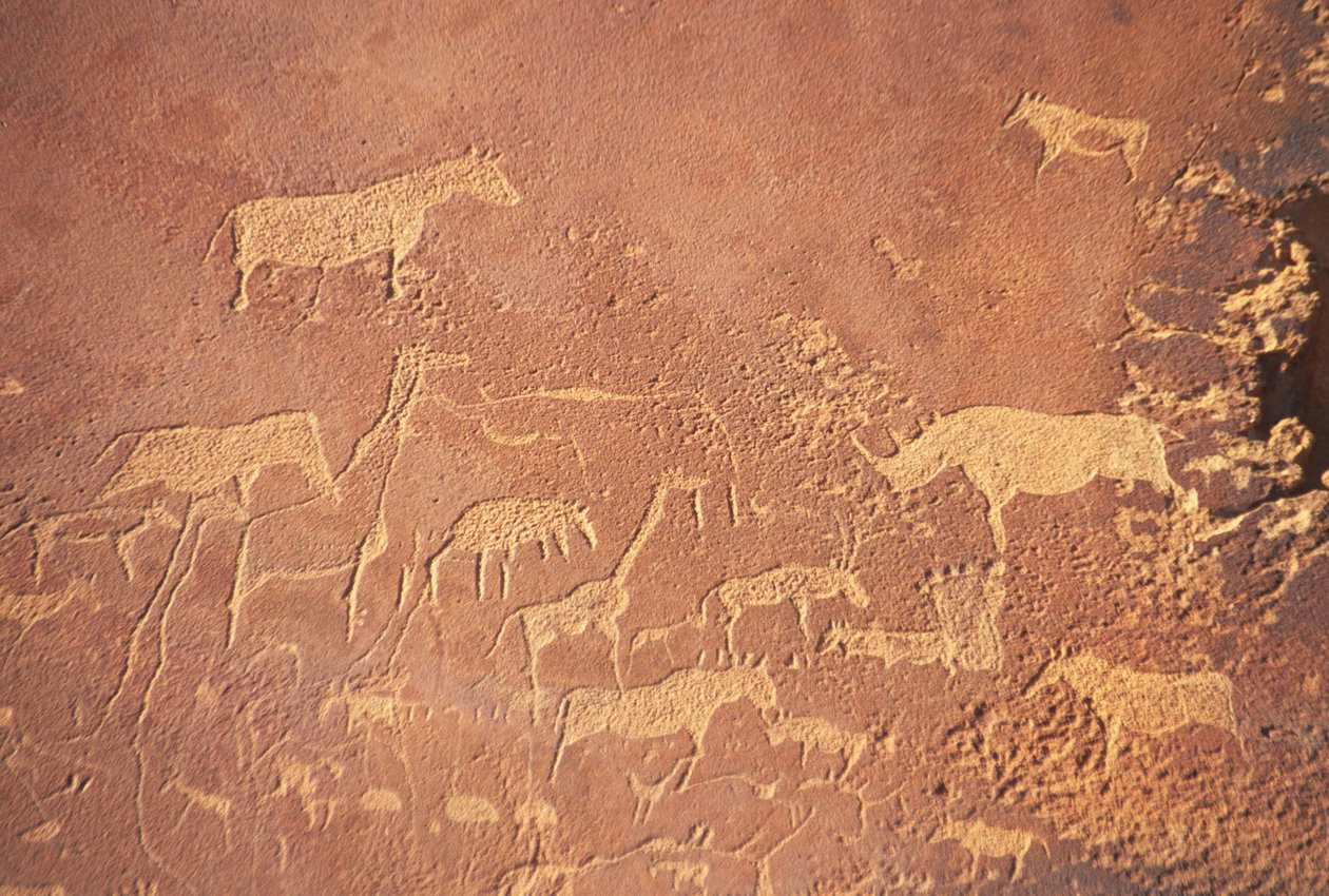 Khorixasの南にあるTwyfelfonteinは、5から6,000年前にダマラの人々が描いたナミビアの先史時代の岩絵の最も広範な蓄積の1つを持っています。主に描かれているのはライオンです 作： 不明