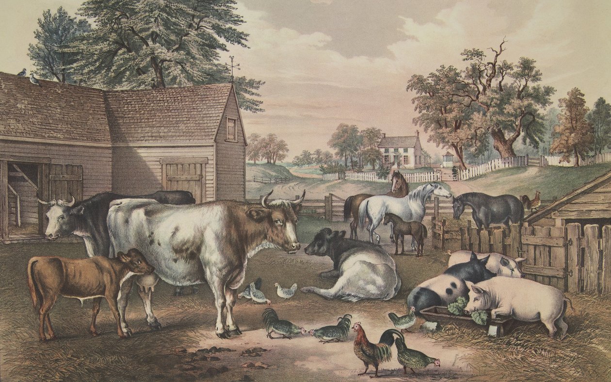 アメリカンファームヤード-夕方、パブ。 1857年、キュリアーとアイブス 作： アメリカの学校
