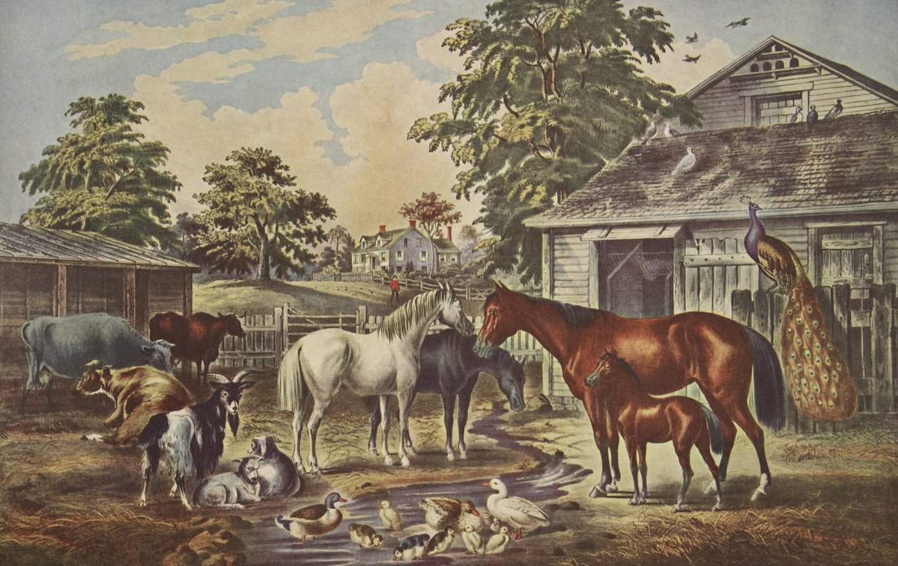 アメリカンファームヤード-朝、パブ。 1857年、キュリアーとアイブス 作： アメリカの学校
