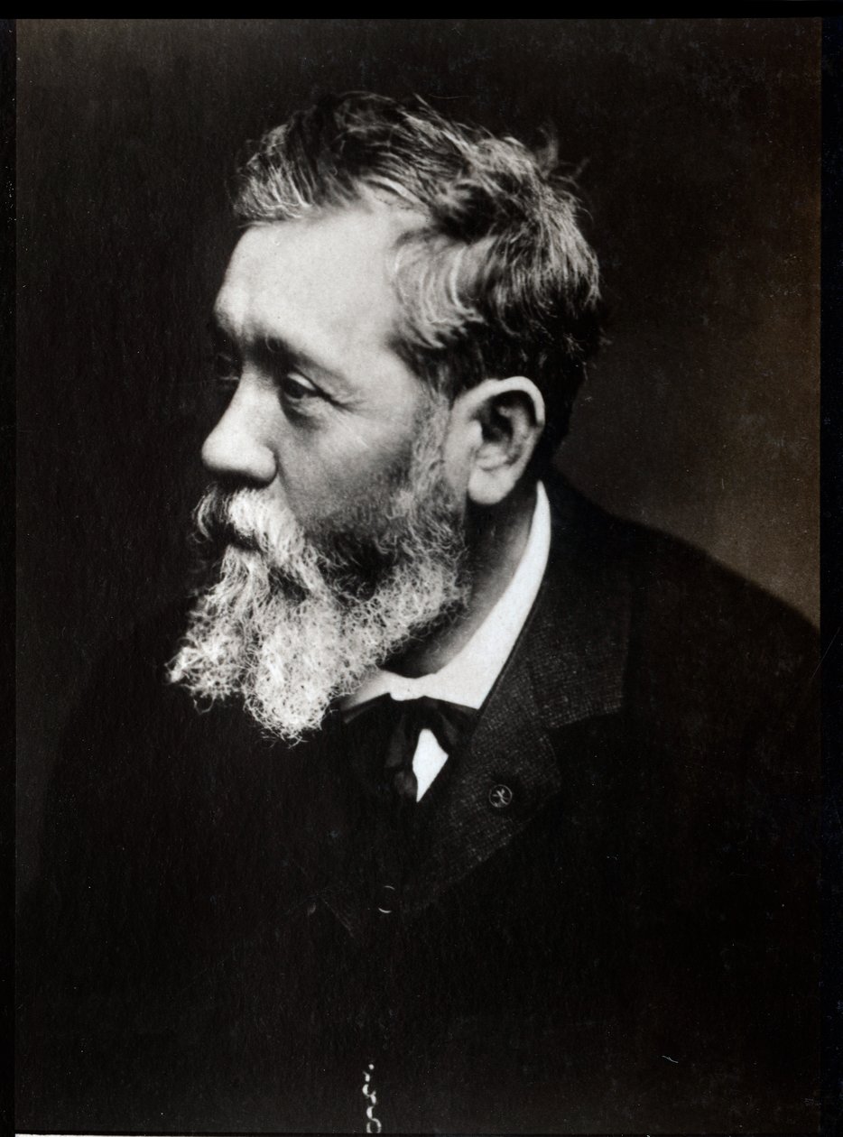 フランスの画家、アントワーヌヴォロン（1833-1900）の肖像。 作： フランスの写真家