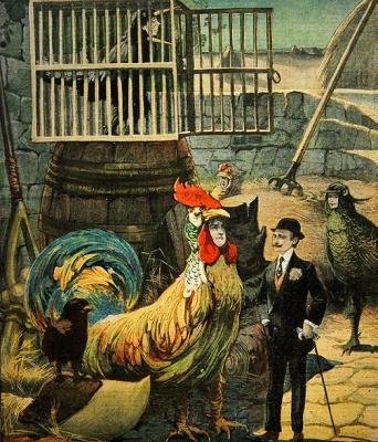 Chantecler、エドモンド・ロスタンドの詩劇、Le Petit Journalの表紙、1910年1月30日 作： フランス語学校
