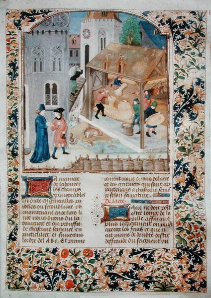 Ms 5064 fol.35r Threshing、Livre des Prouffitz Champestres、Pietro de Crescenzi（1230-132021） 作： フランス語学校