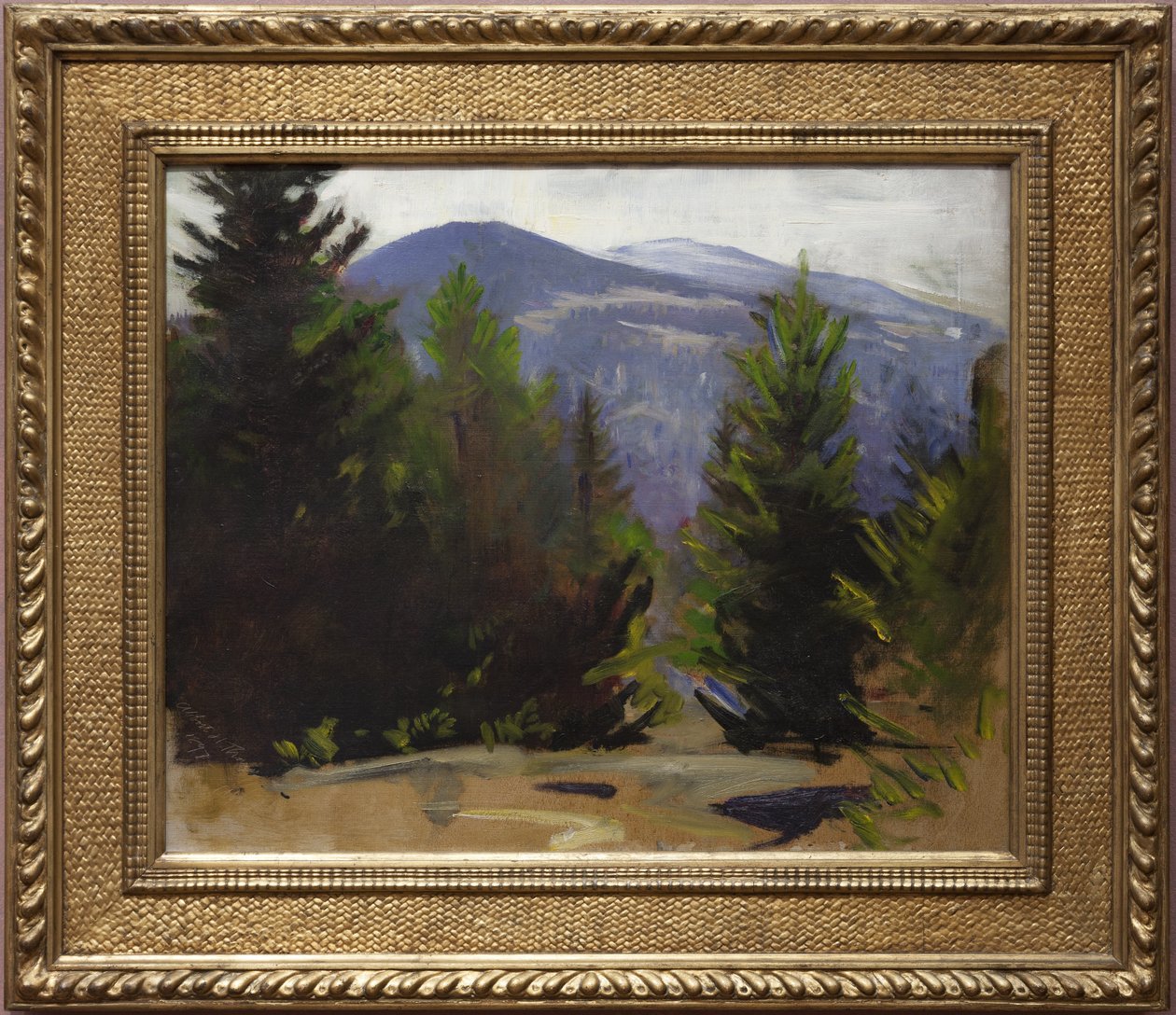 モナドノック山のスケッチ、1897年 作： アボット・ハンダーソン・セイヤー