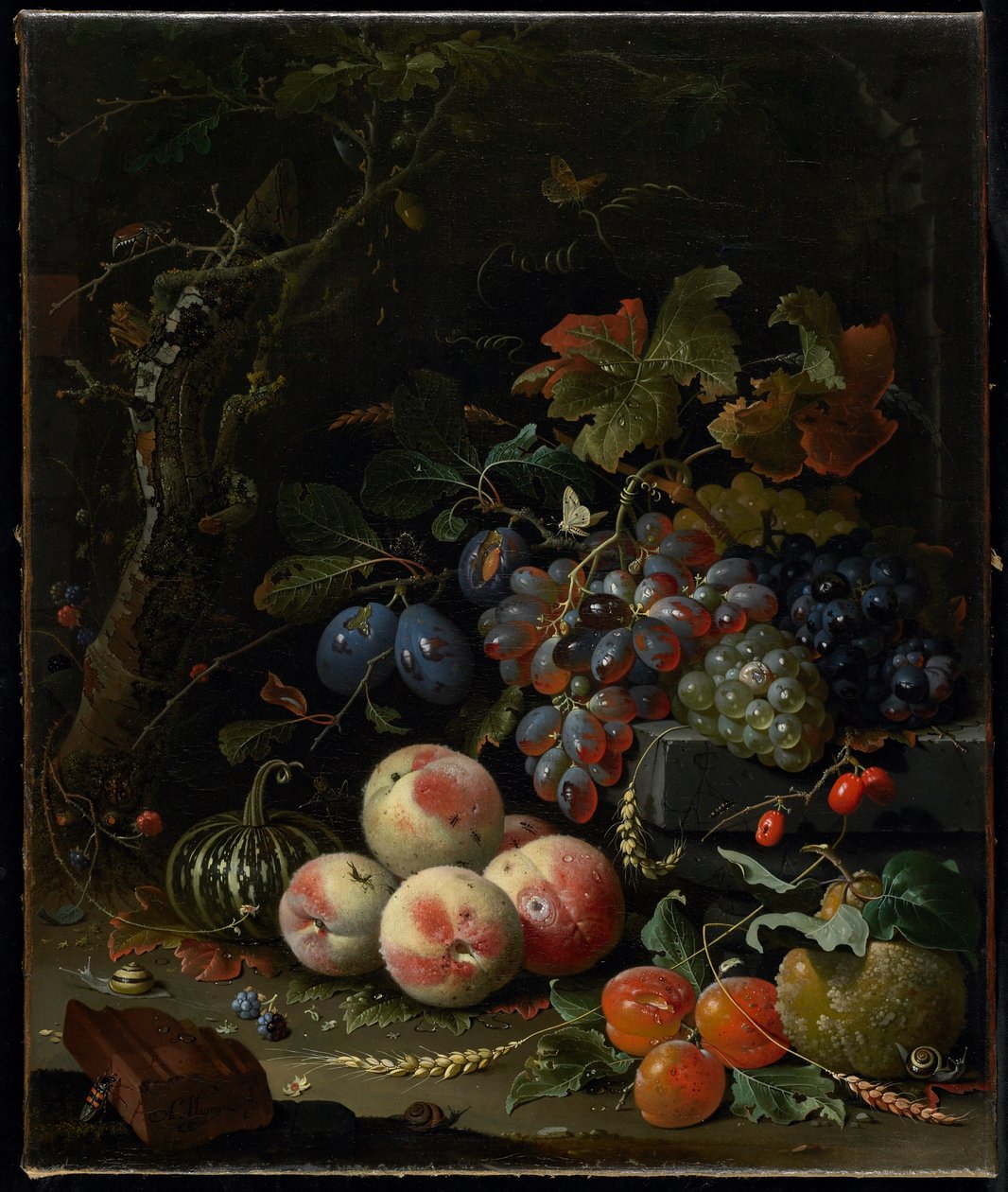 果物、葉、昆虫のある静物、c.1669 作： アブラハム・ミニョン