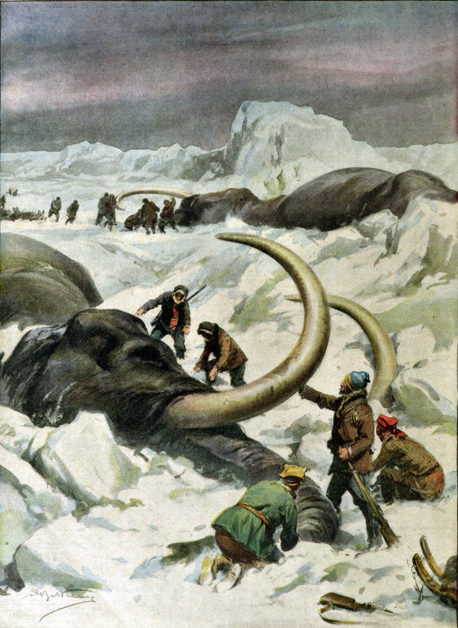 シベリアで凍ったマンモスを発見、「Corriere della Sera」からのイラスト、1934年12月9日 作： アキレ・ベルトラーメ