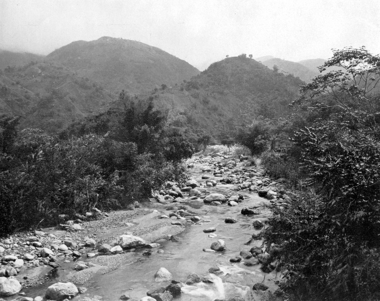 Wag-River、キャッスルトン、ジャマイカ、c1905。 作： アドルフ・デュパーリーと息子
