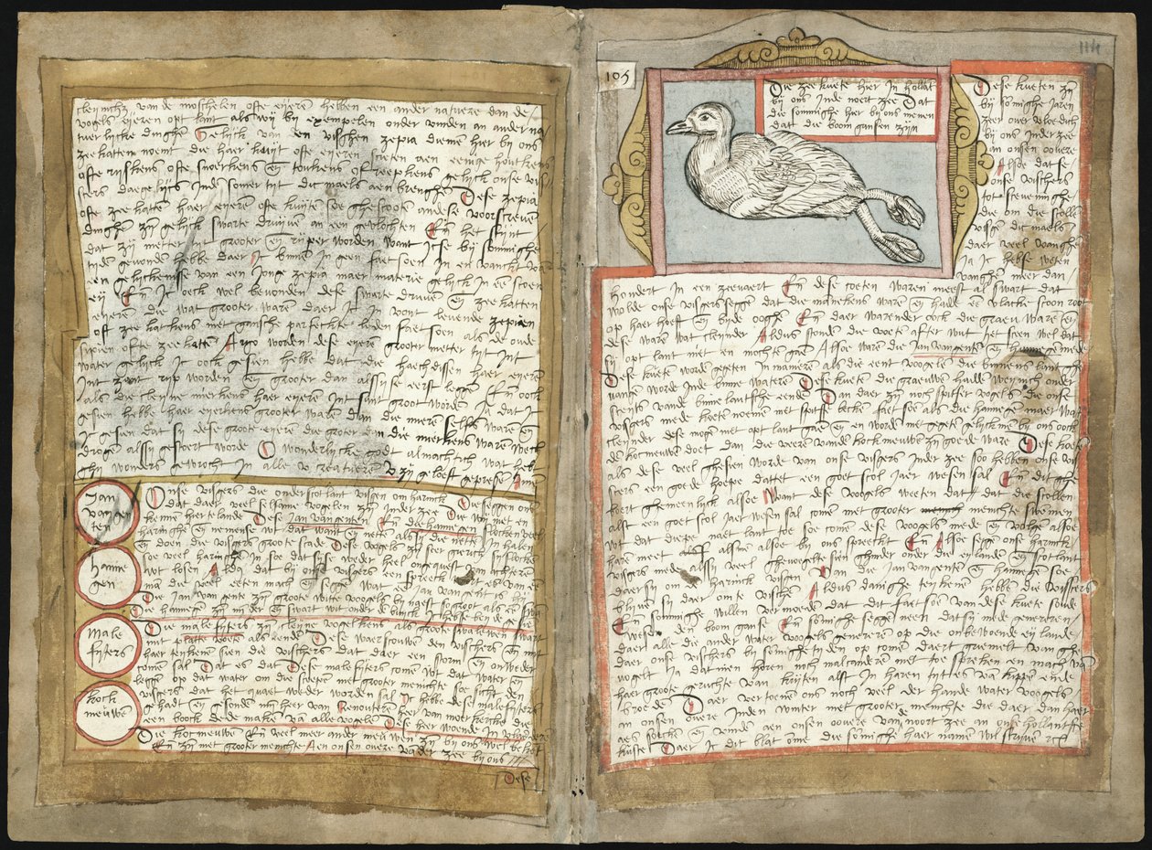 Adriaen CoenenのVisboeck-KB 78 E 54-Folio 113v（左）および114r（右） 作： アドリアーン・コーネン
