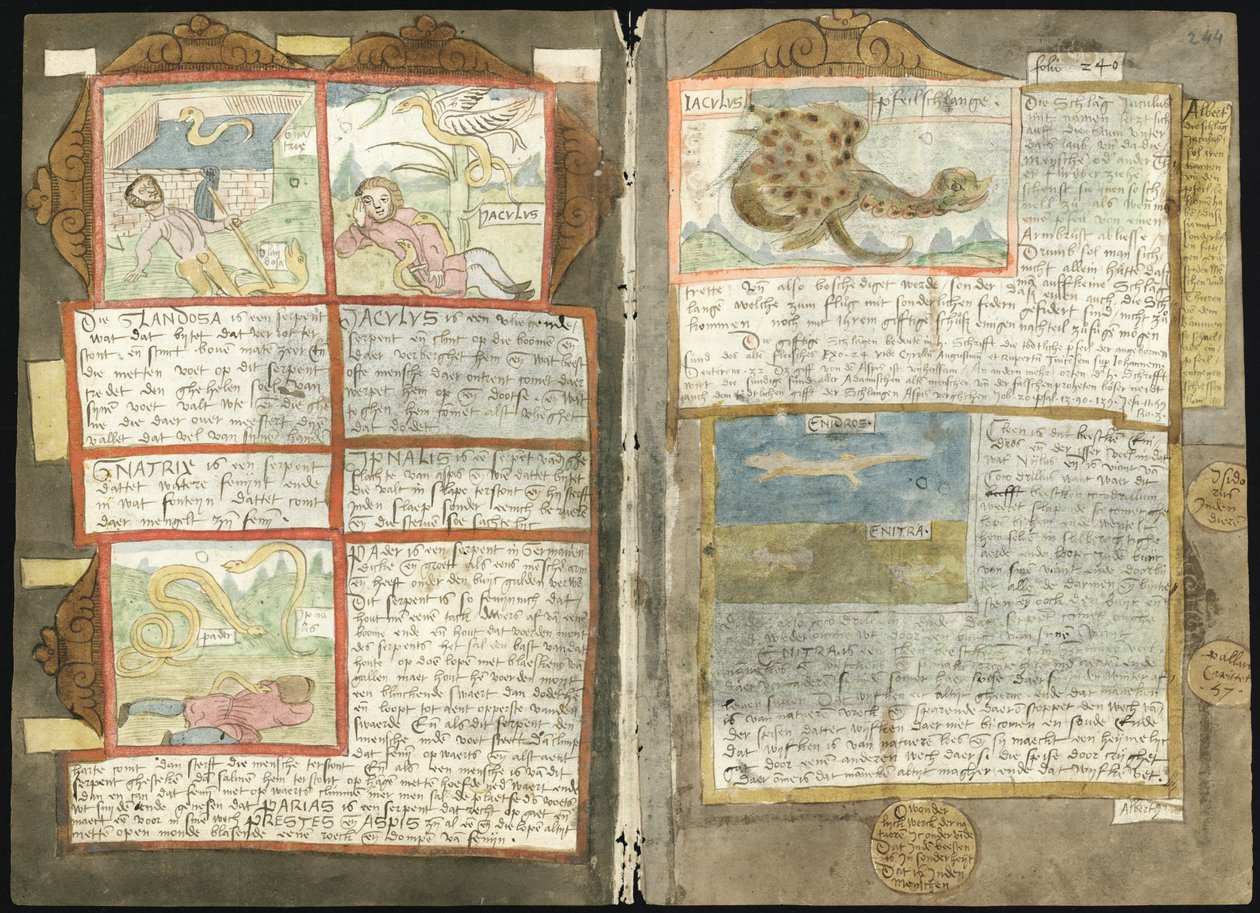 Adriaen CoenenのVisboeck-KB 78 E 54-Folio 243v（左）および244r（右） 作： アドリアーン・コーネン