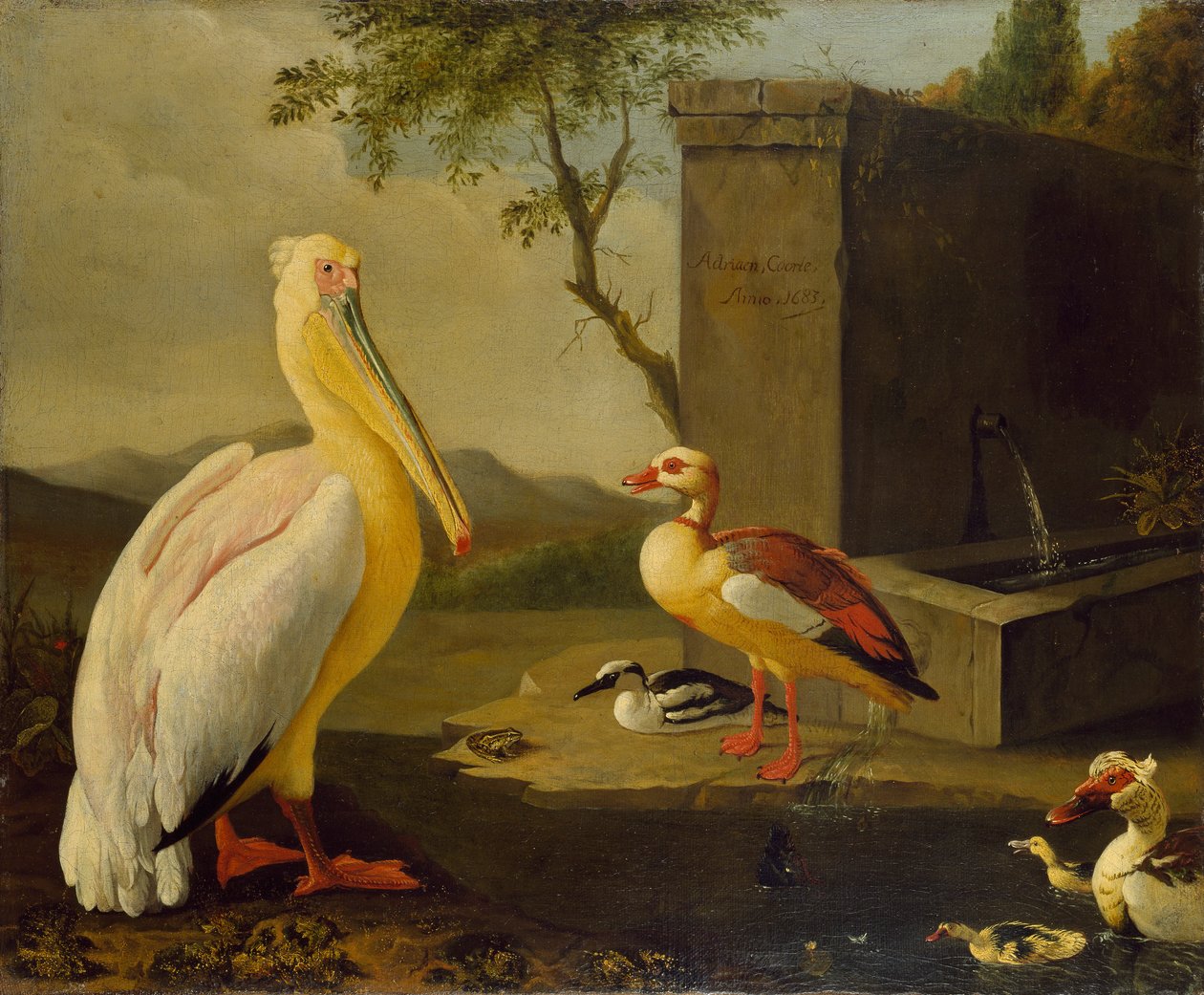 東洋の鳥、1683年 作： エイドリアン・コート