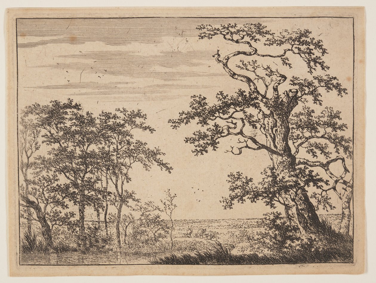 池 作： Adriaen Hendricksz Verboom