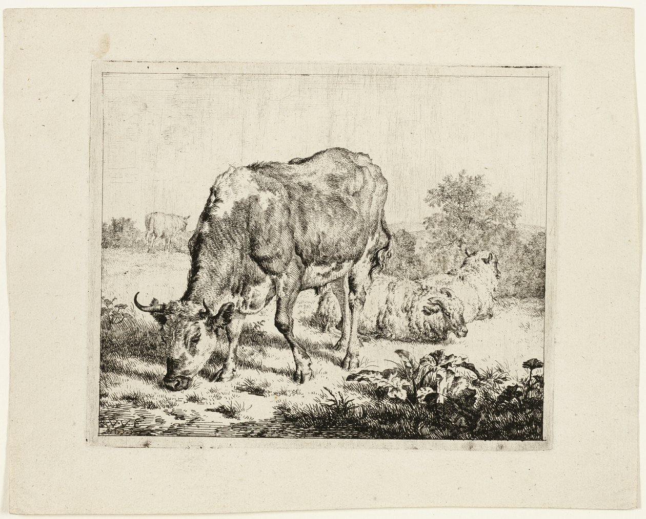 牛の放牧と 3 匹の羊 作： Adriaen van de Velde
