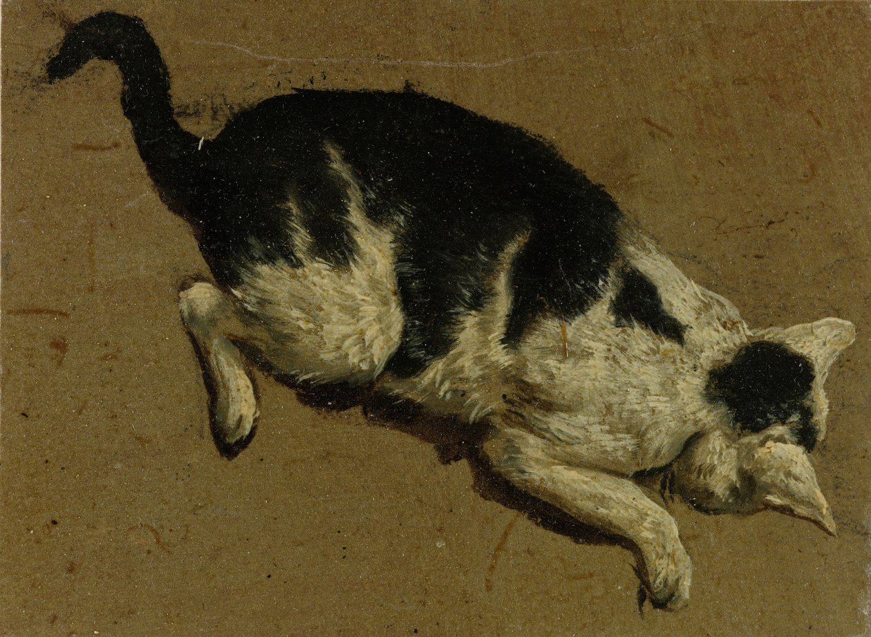 上から猫（筆描き） 作： Adriaen van de Velde