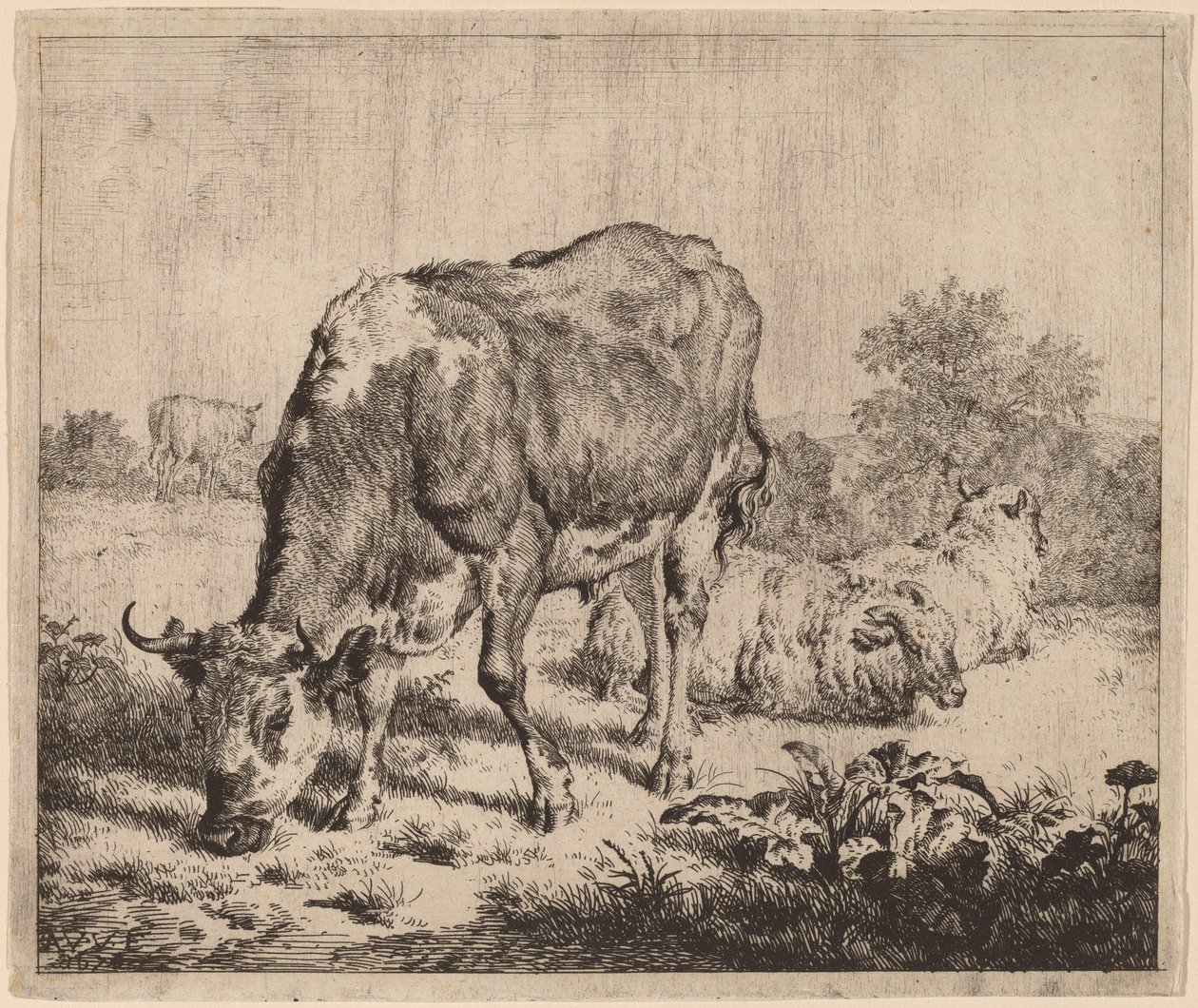 斑点のある雄牛と 3 匹の羊 作： Adriaen van de Velde