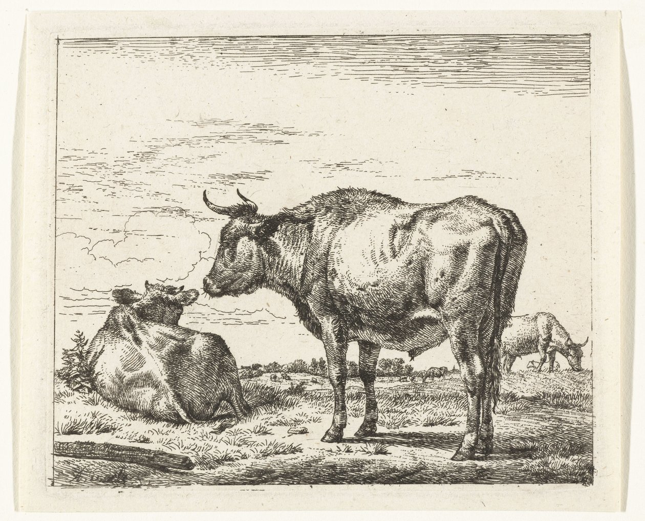 立っている雄牛 いろいろな動物（シリーズタイトル） 作： Adriaen van de Velde