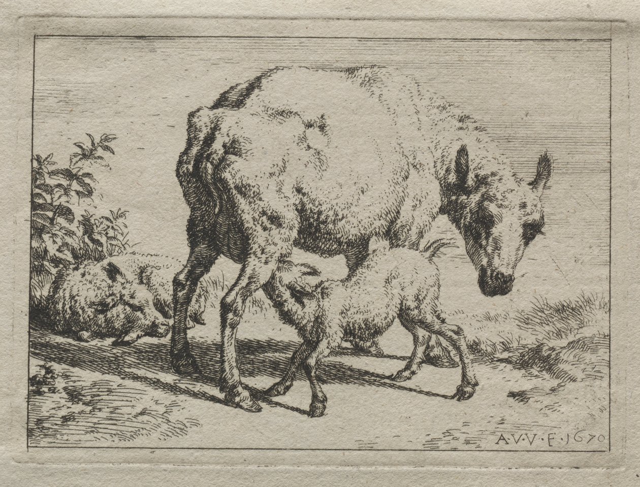 雌羊と 2 匹の子羊 作： Adriaen van de Velde