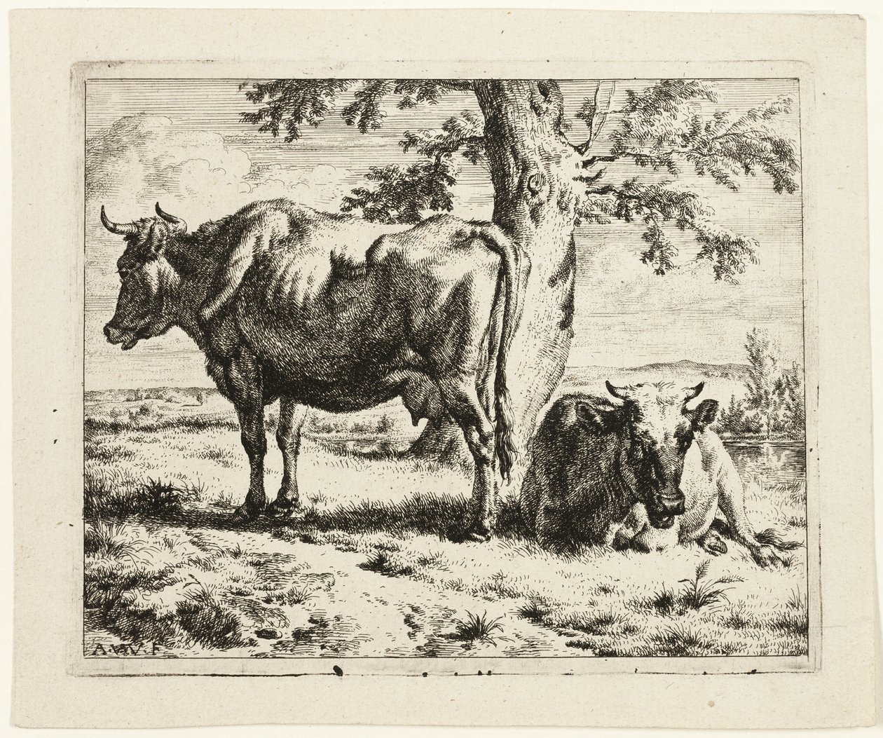 木の下で 2 頭の牛 作： Adriaen van de Velde