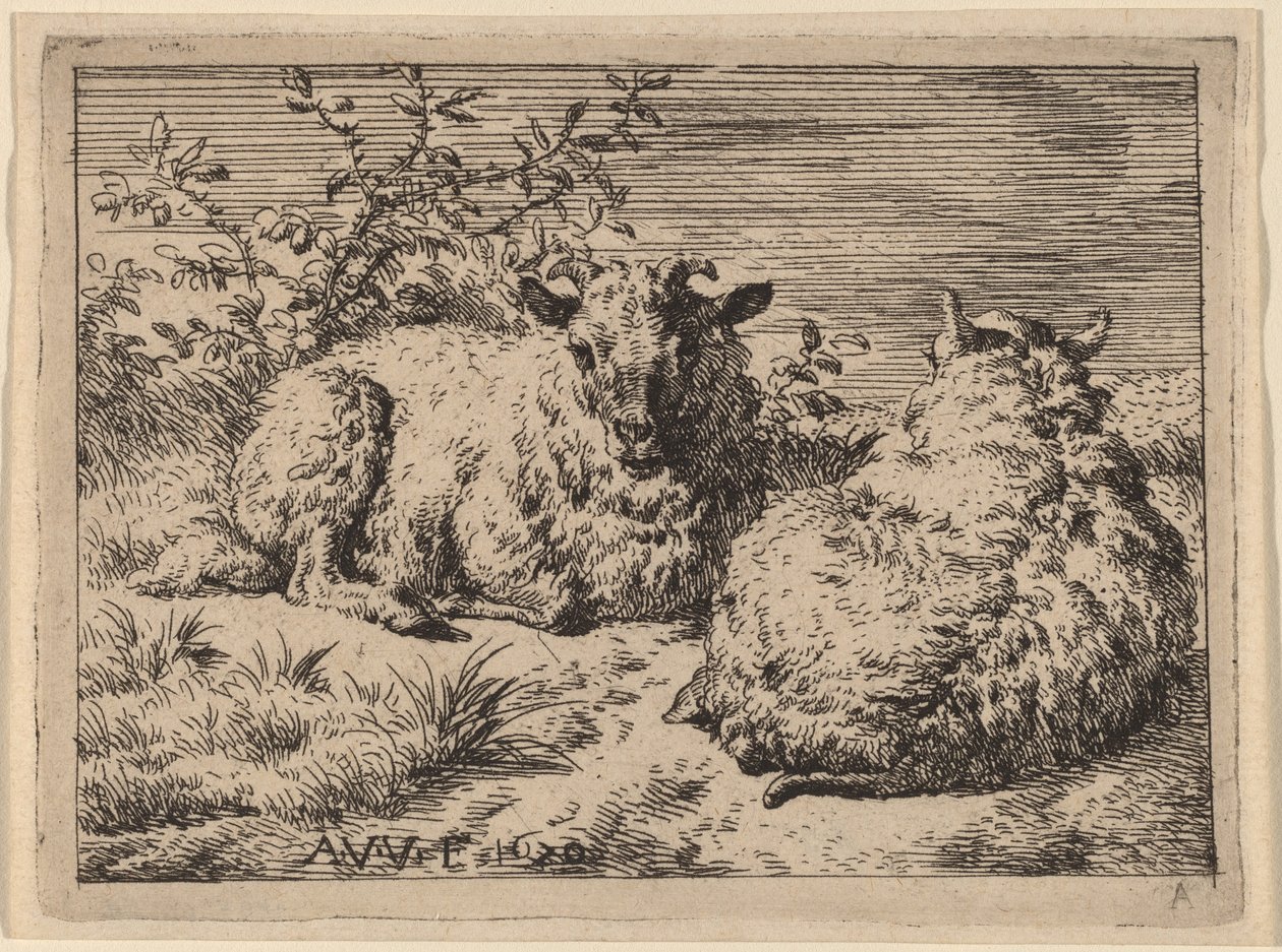 2 つの横たわる羊 作： Adriaen van de Velde