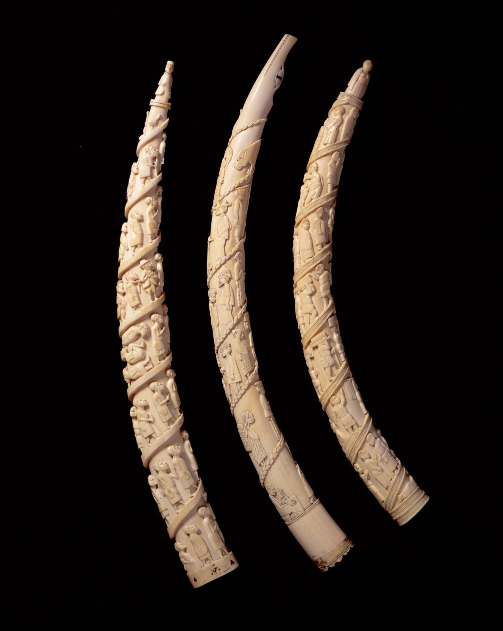 彫刻が施された牙、コンゴ 作： アフリカ人