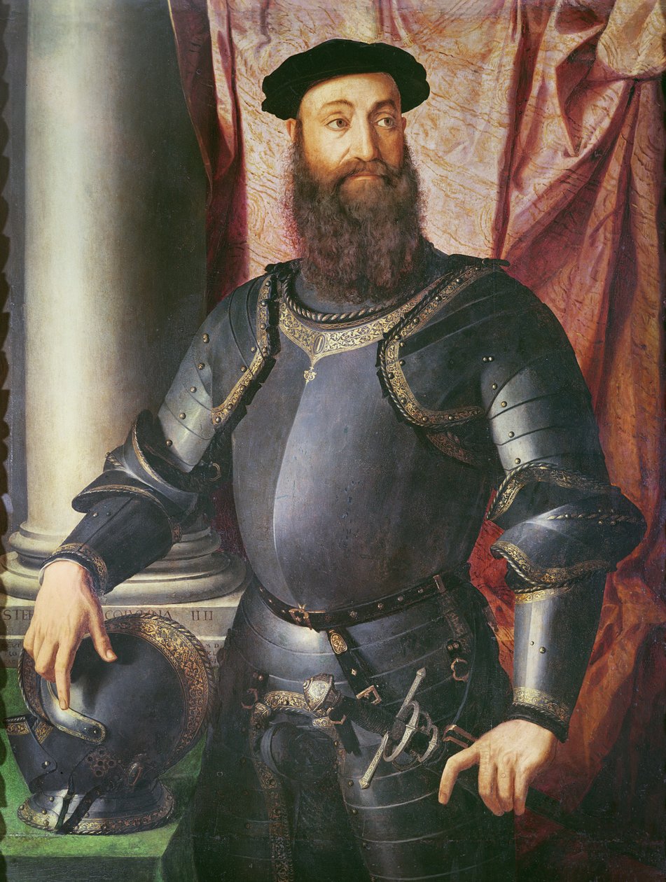 チャールズ5世の将軍ステファノコロンナの肖像、1546年（木のテンペラ） 作： アーニョロ・ブロンズィーノ