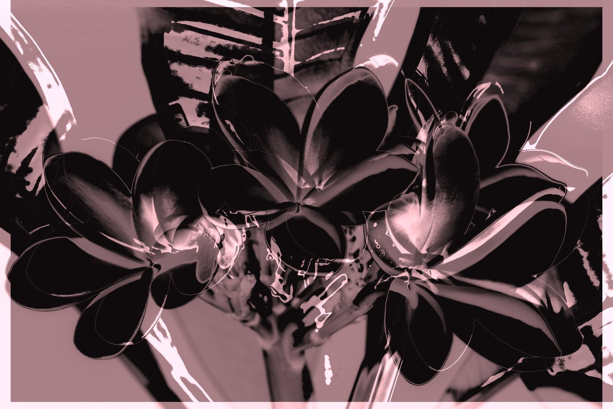 Untitled,2019,(mixed media) 作： アレックス・キャミンカー