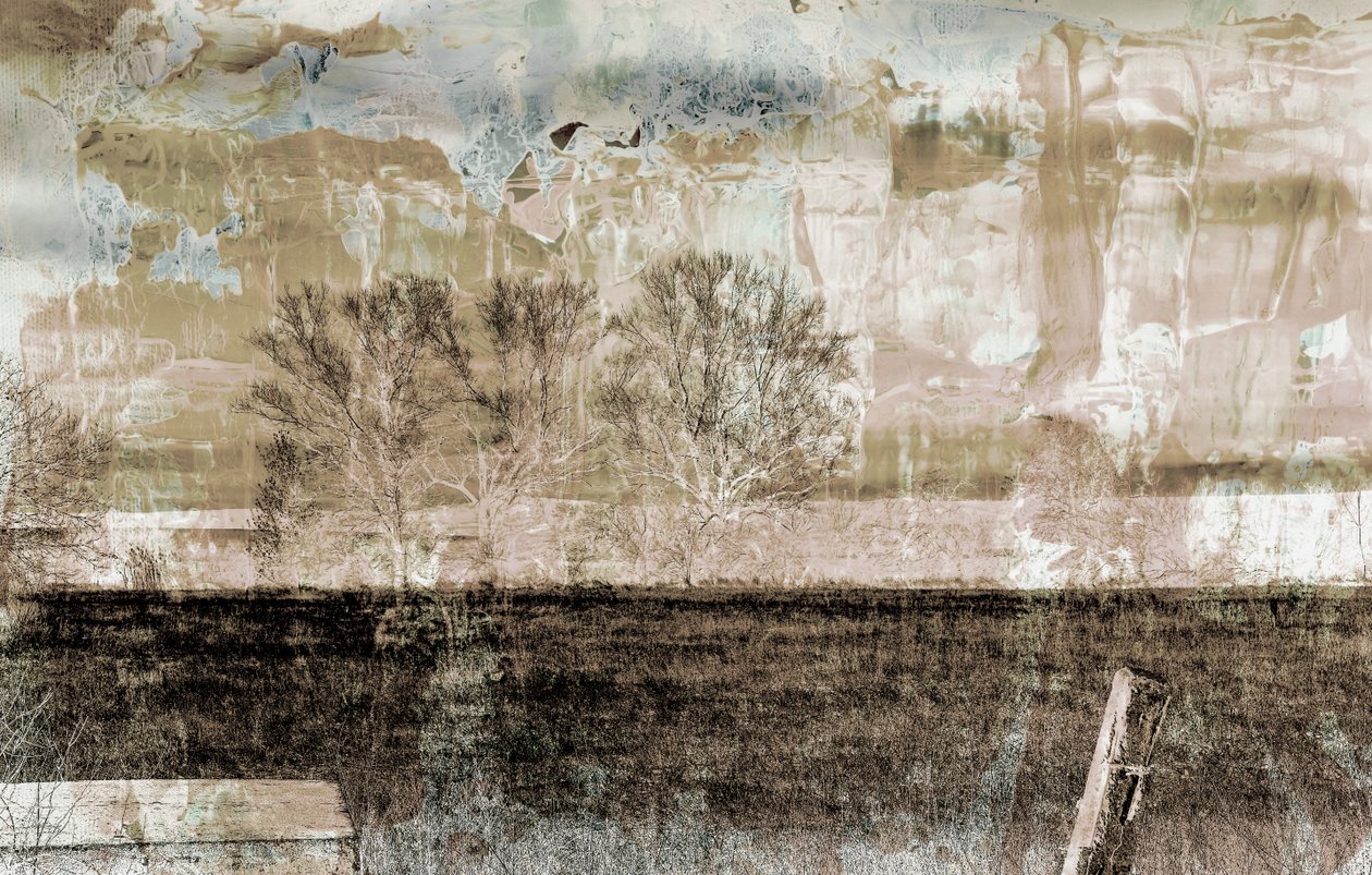 brown fog,2019,(mixed media) 作： アレックス・キャミンカー