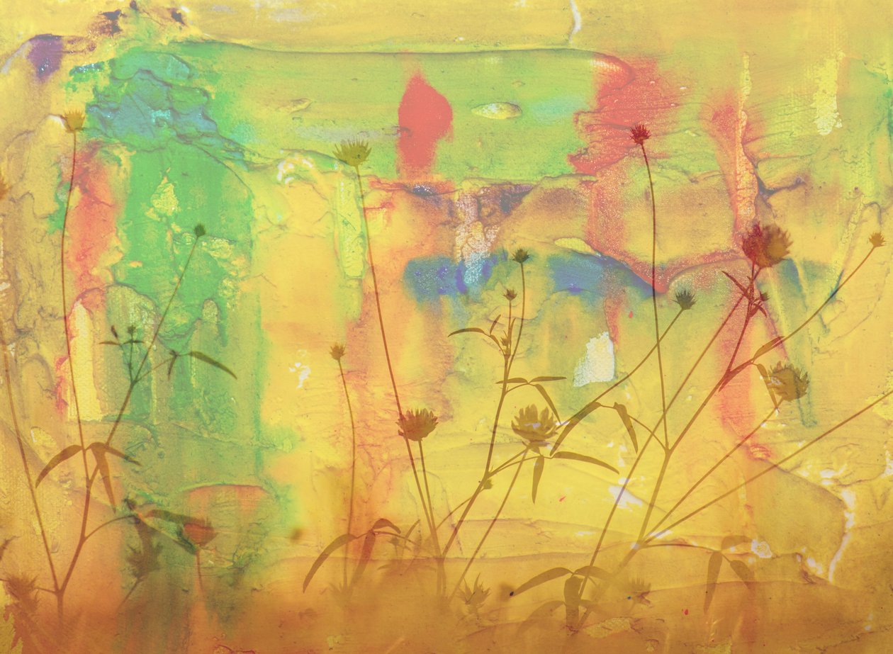 in the desert,2019,(mixed media) 作： アレックス・キャミンカー