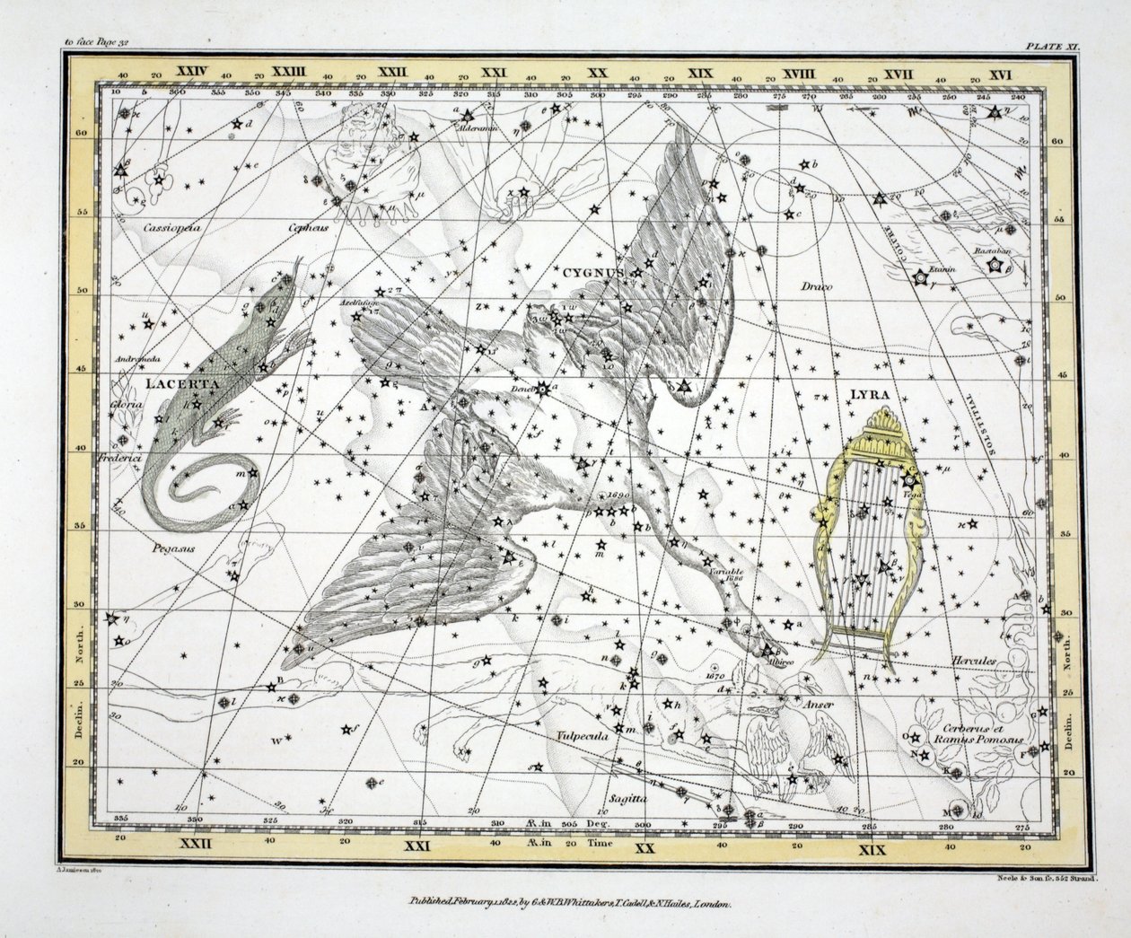 星座（プレートXI）Cygnus、Lacerta、Via Lactea、パブのAlexander Jamiesonによる「A Celestial Atlas」から。ロンドン1822（手描きの彫刻） 作： アレクサンダー・ジェイミーソン