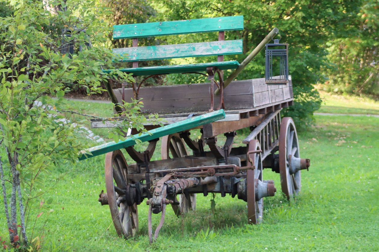 公園に置かれた古い馬車 作： アレクサンドラ・ジョセフ