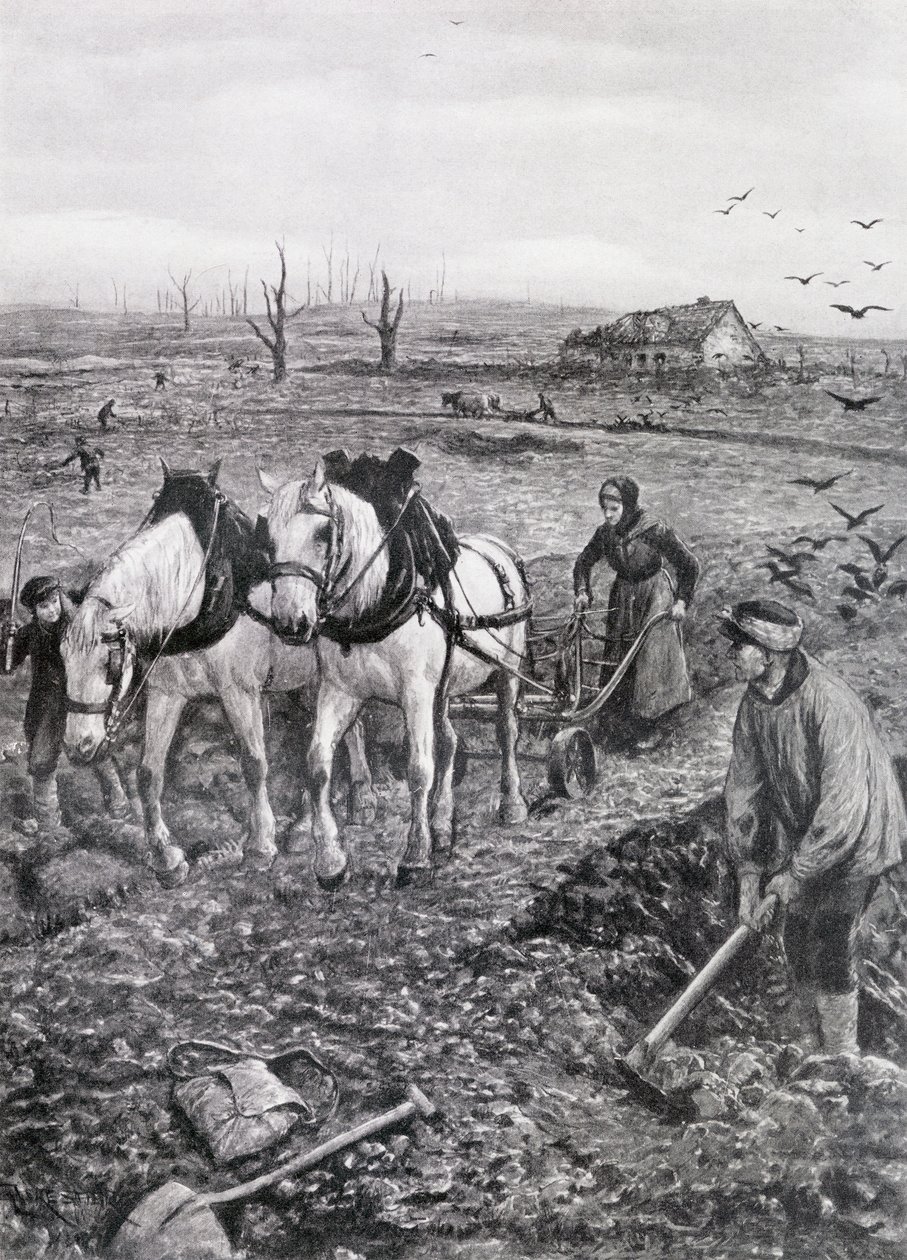 荒廃した畑で働く農民、1918年（ハーフトーンの新聞用紙） 作： アメディー・フォレスティエ