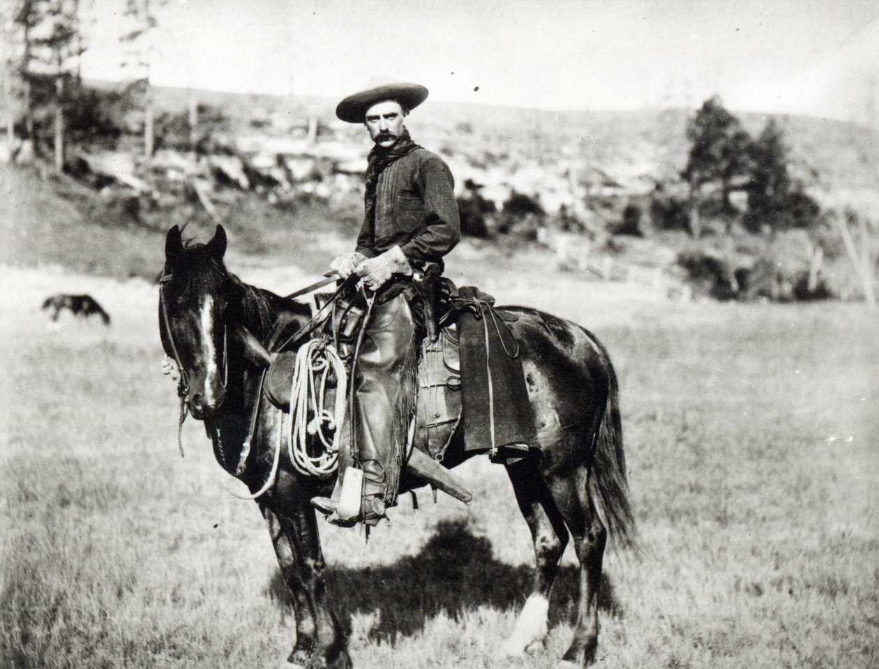アメリカ合衆国、モンタナ州で馬に乗るカウボーイc。 1880 作： アメリカの写真家