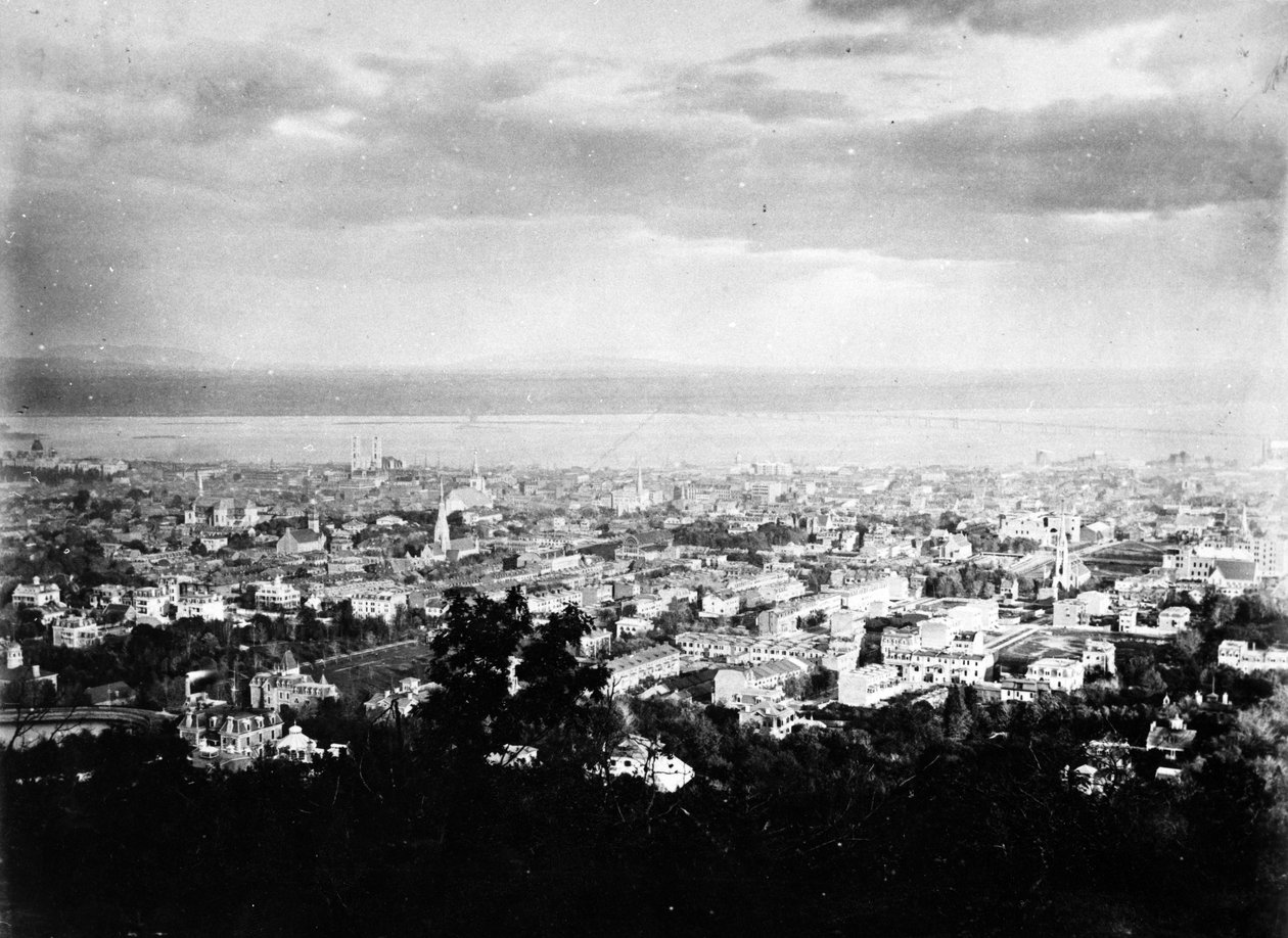 マウントロイヤルパークからのモントリオールの眺め、1860〜90年頃 作： アメリカの写真家