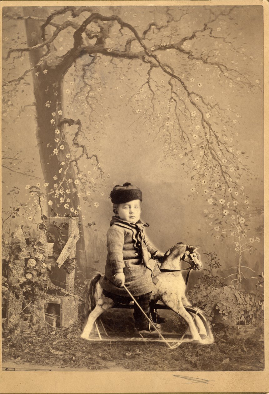 大きな塗装の背景、1880年代にロッキングホースに座っている少年（アルブメンプリント） 作： アメリカの写真家