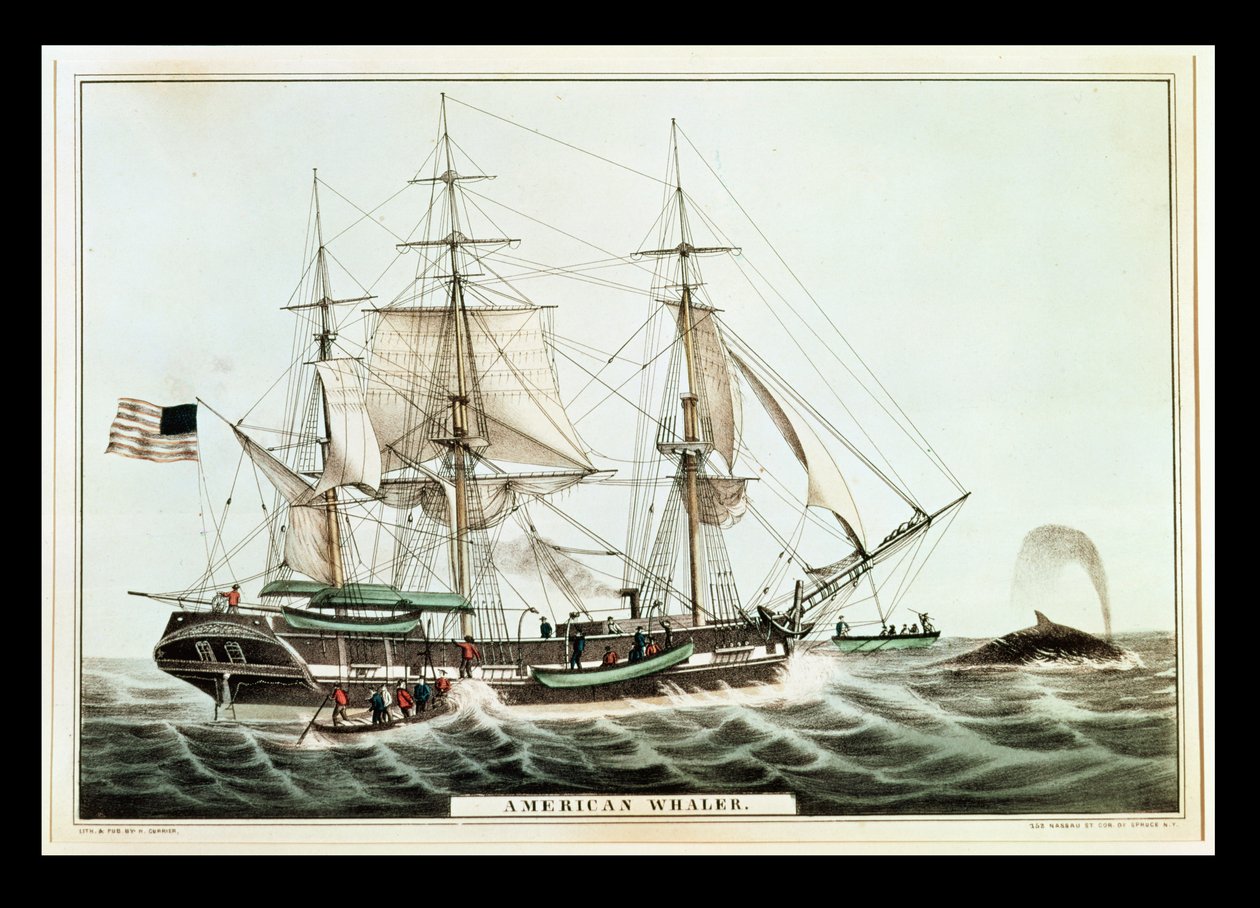 ナサニエルキュリアー（1813-88）によって刻まれたアメリカの捕鯨 作： アメリカの学校