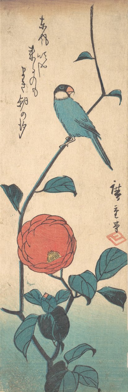 カメリアとフィンチ、カリフォルニア州。 1840年頃。 1840年。 作： 安藤広重