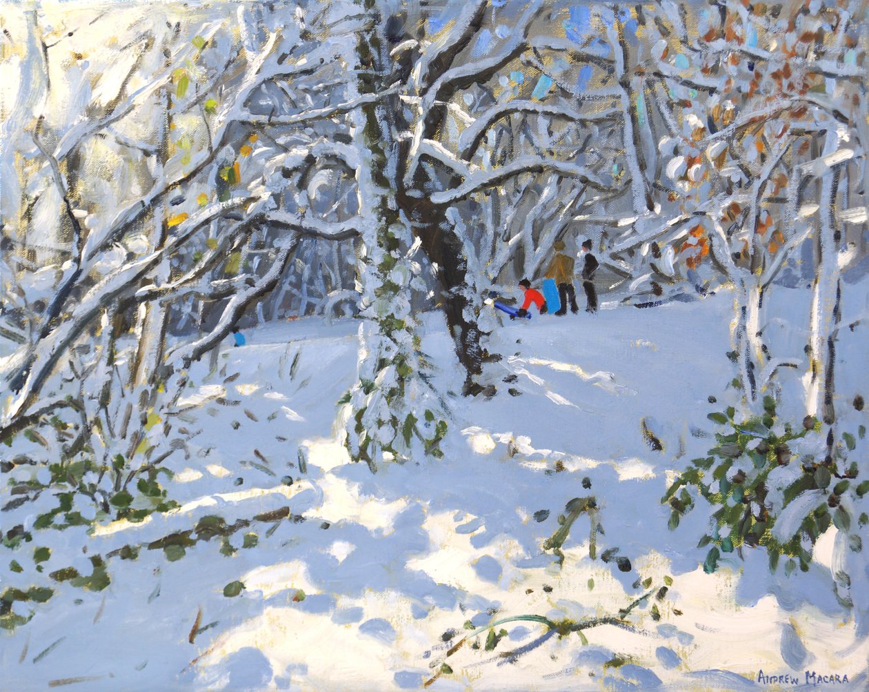 Allestree Woods、16x20、2013年のクリスマスそり 作： アンドリュー・マカラ