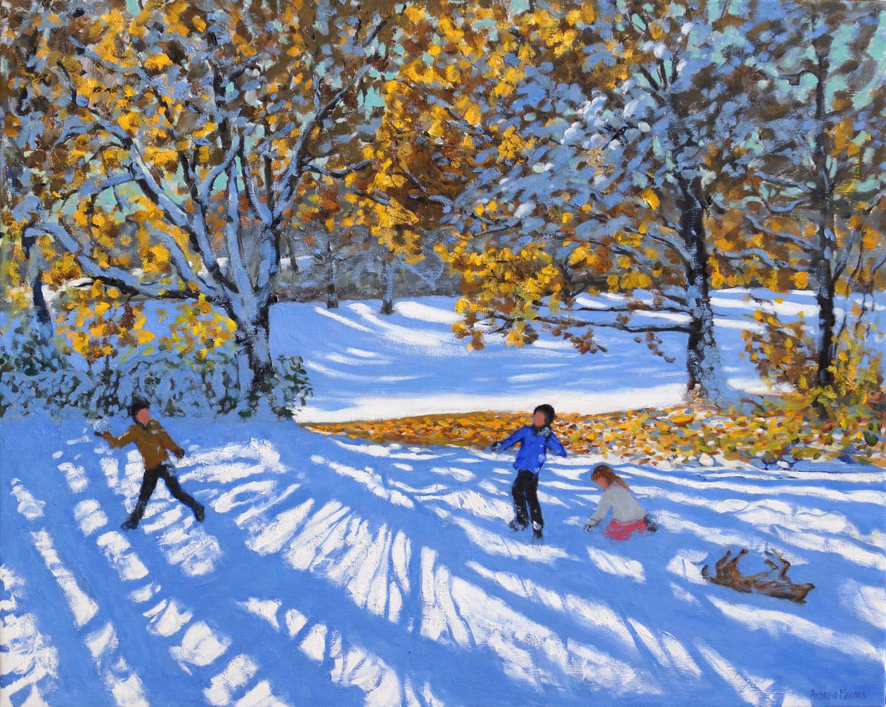 初期の雪、アレスツリー公園。 2017年 作： アンドリュー・マカラ