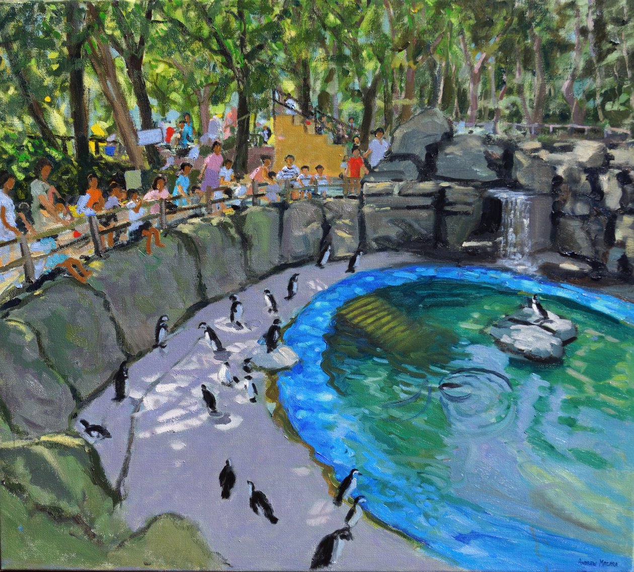 ペンギンプール、マドリード動物園。 2015年 作： アンドリュー・マカラ