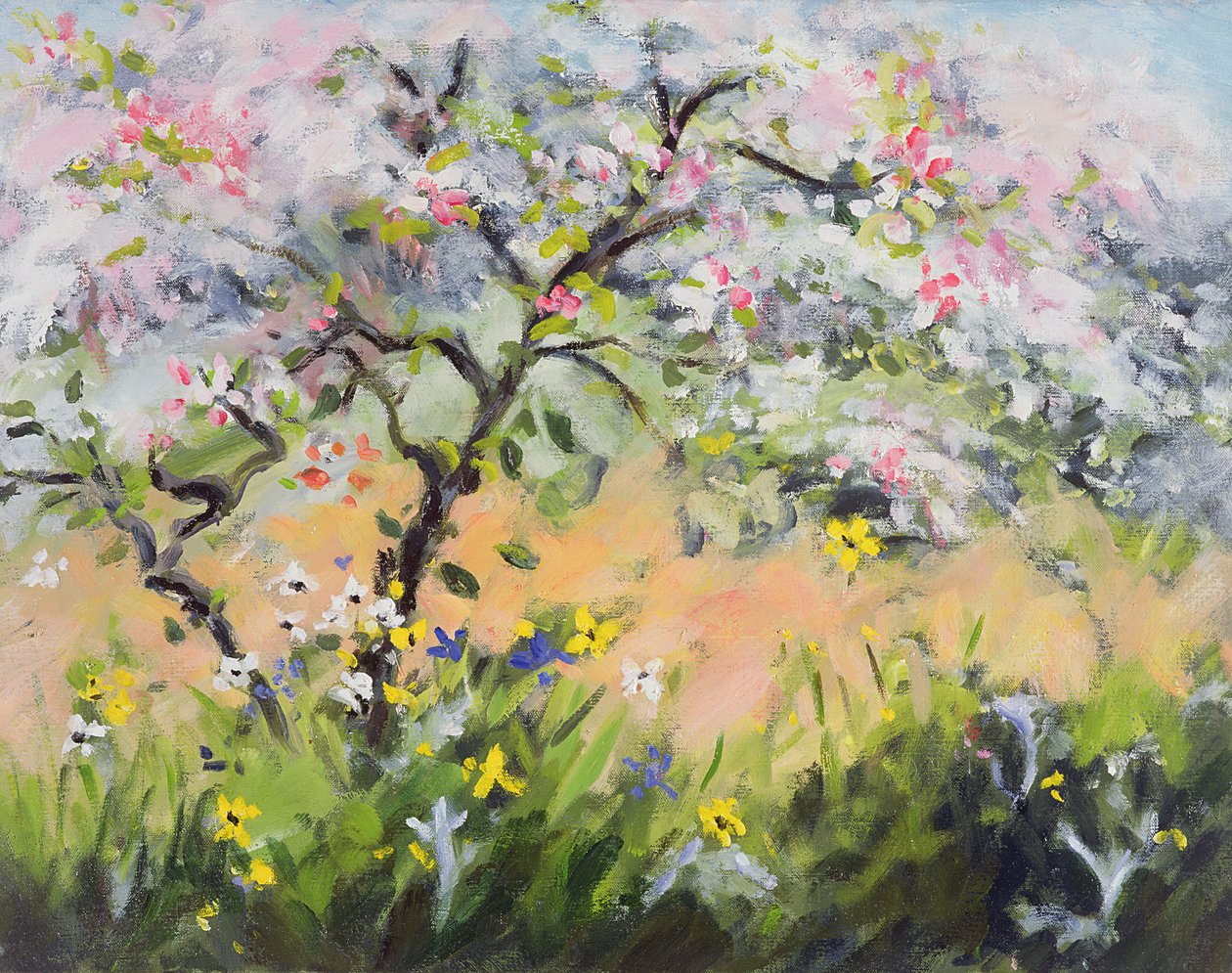 春の花 作： アン・ダーラム