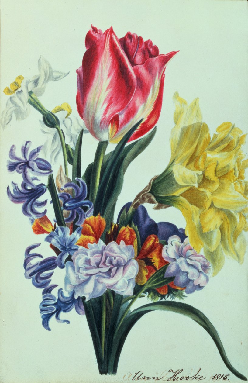 春の花、1815 作： アン・フック