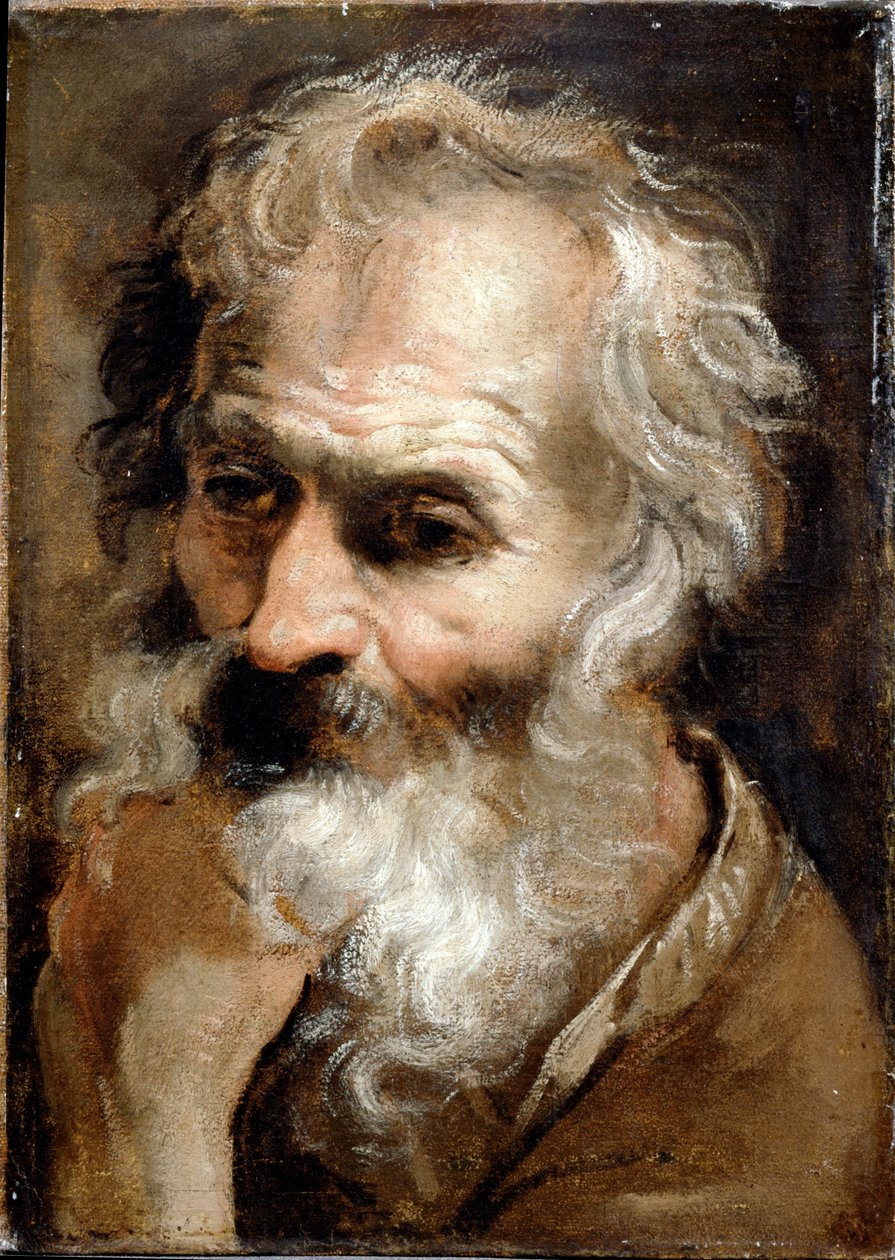 老人の頭 作： Annibale Carracci
