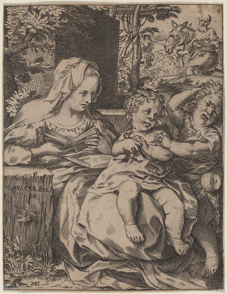 ツバメのマドンナ 作： Annibale Carracci