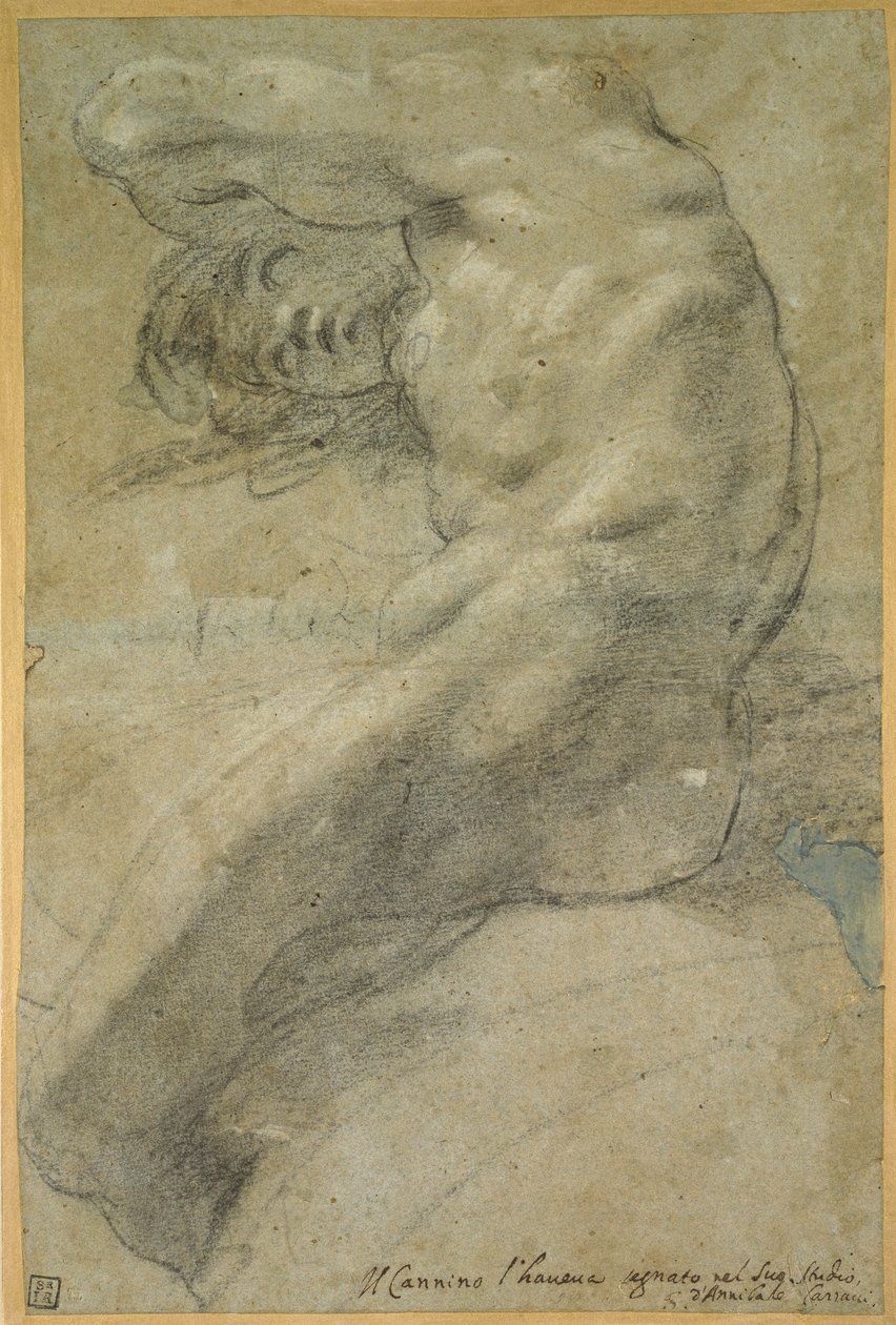 裸の男の研究 作： Annibale Carracci