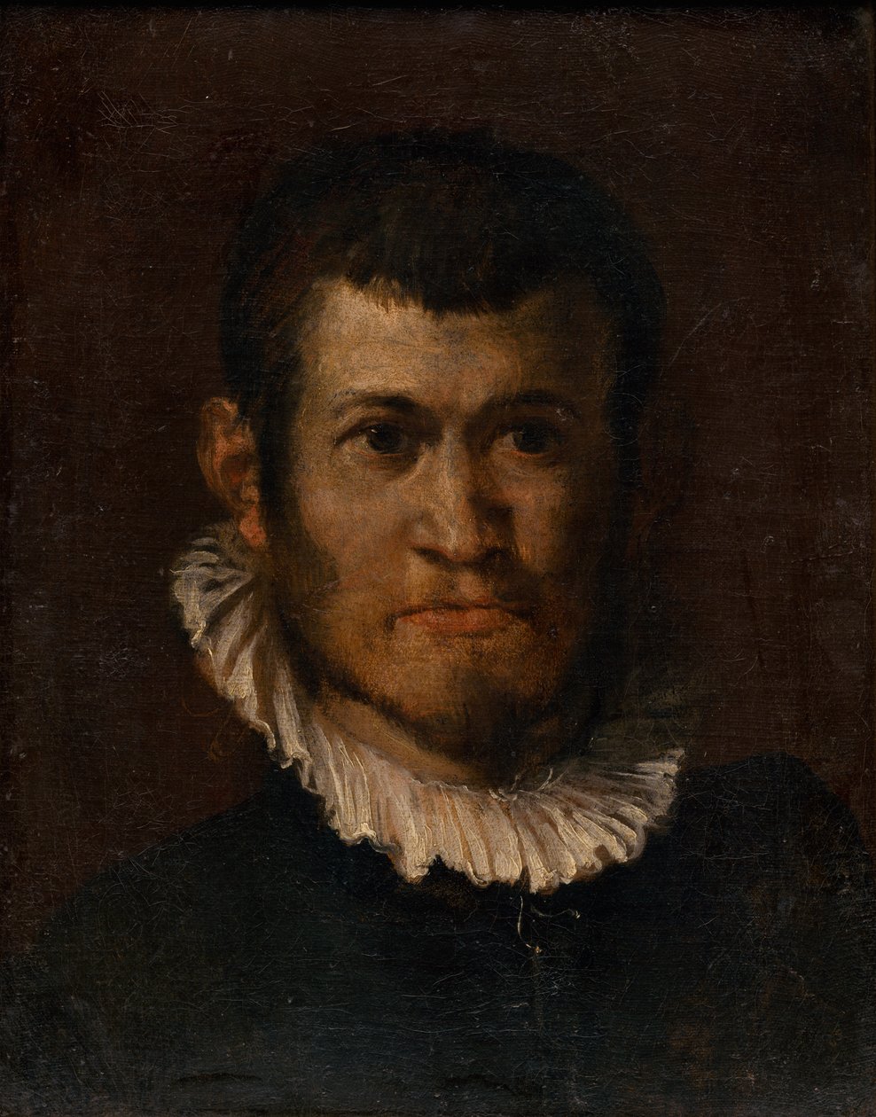 男の頭の研究 作： Annibale Carracci