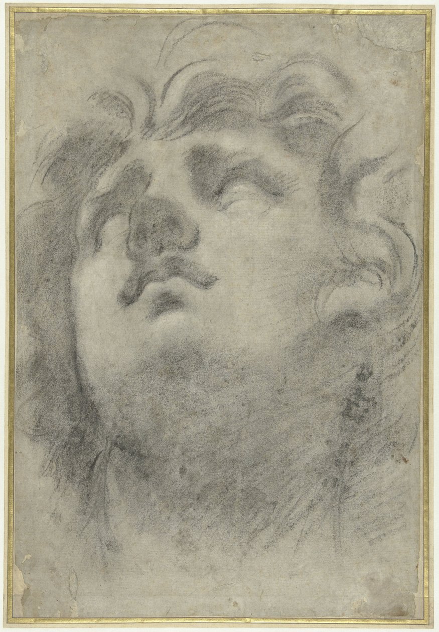 トリトンの直立した頭 作： Annibale Carracci