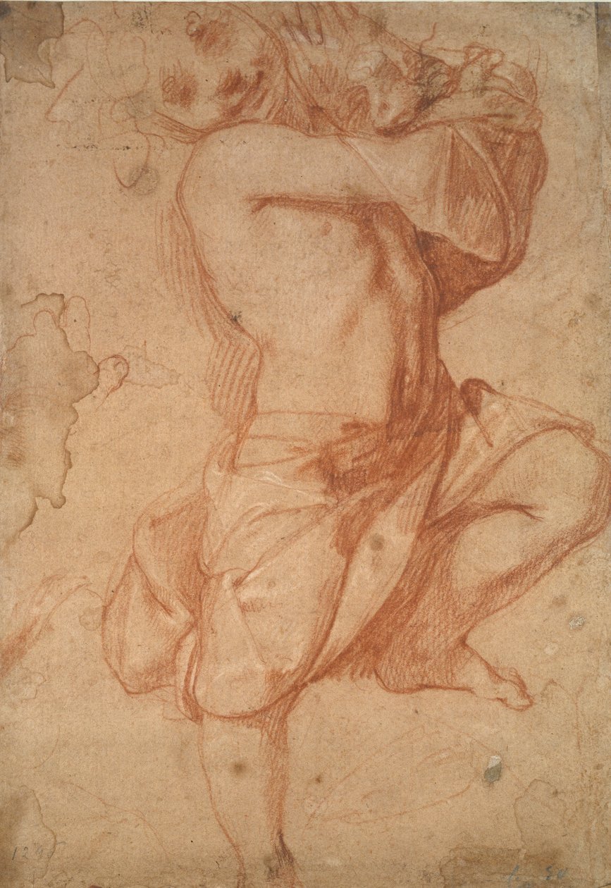 半裸の少年、16世紀後半 作： Annibale Carracci